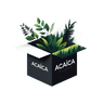 Acaica